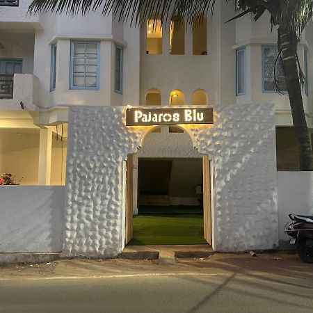 Pajaros Blu Otel Calangute Dış mekan fotoğraf